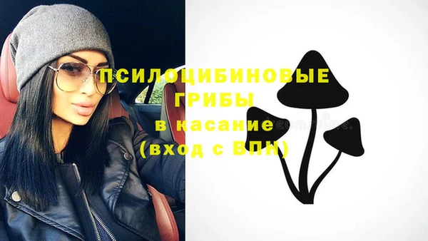 ECSTASY Горно-Алтайск