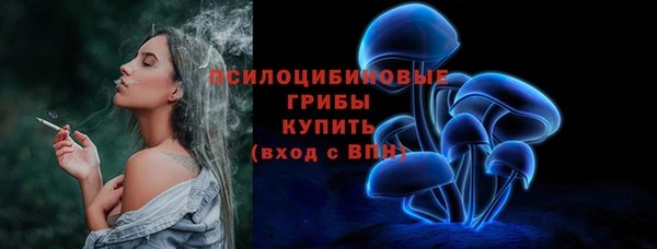 стафф Горняк