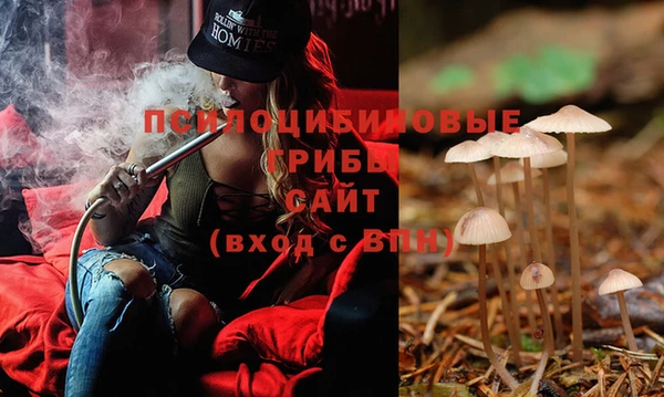 ECSTASY Горно-Алтайск