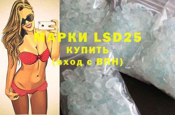 PSILOCYBIN Вязники