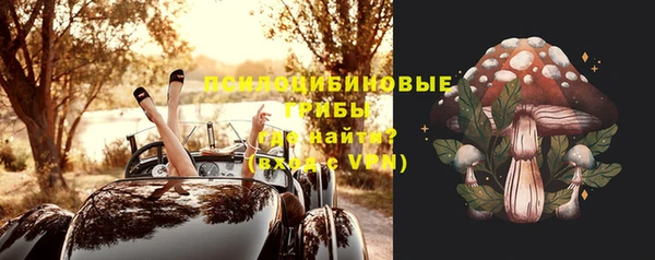 первитин Горнозаводск