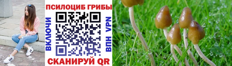 Галлюциногенные грибы Magic Shrooms  Павловская 